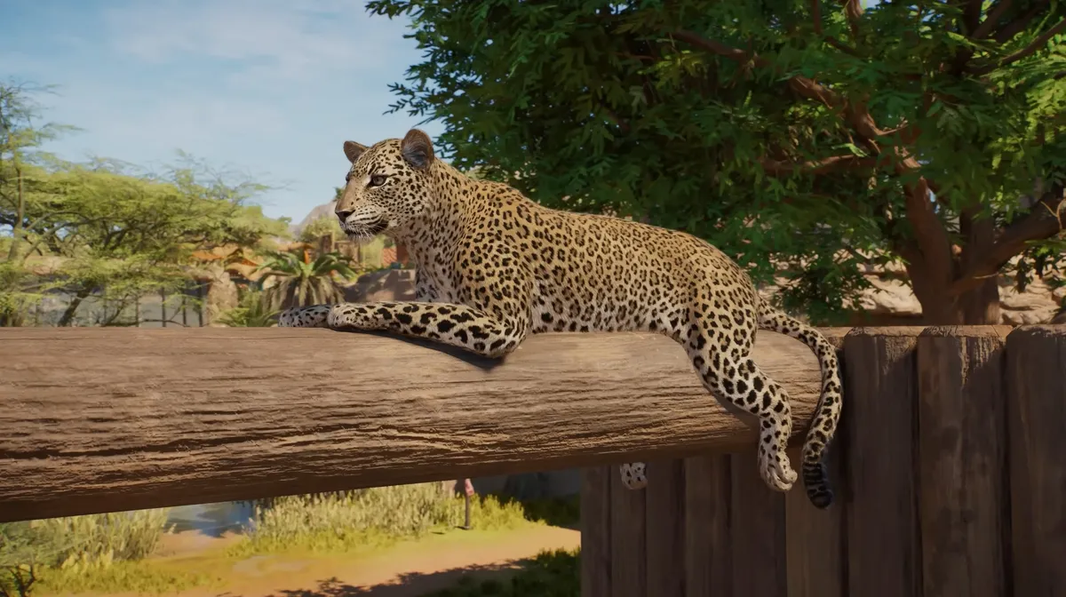 Planet Zoo 2 shows off the African leopard in first Animal Spotlight episode