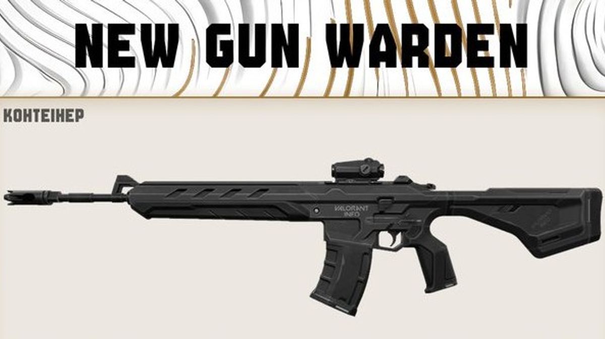 VALORANT Warden Rifle leaked with 2x Scope and 2,900 Credit Price