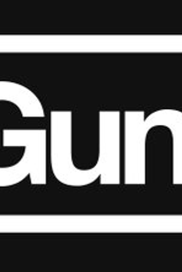 Gun Media