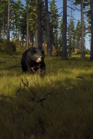 Way of the Hunter