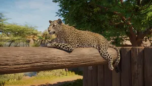 Planet Zoo 2 shows off the African leopard in first Animal Spotlight episode