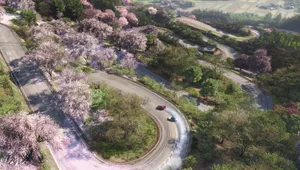 Forza Horizon 6 ditches the superstar fantasy and makes you earn your place from scratch