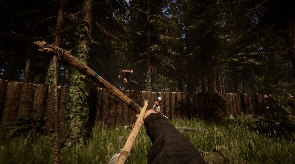 Sons of the Forest is a survival horror video game developed by Endnight Games and published by Newnight