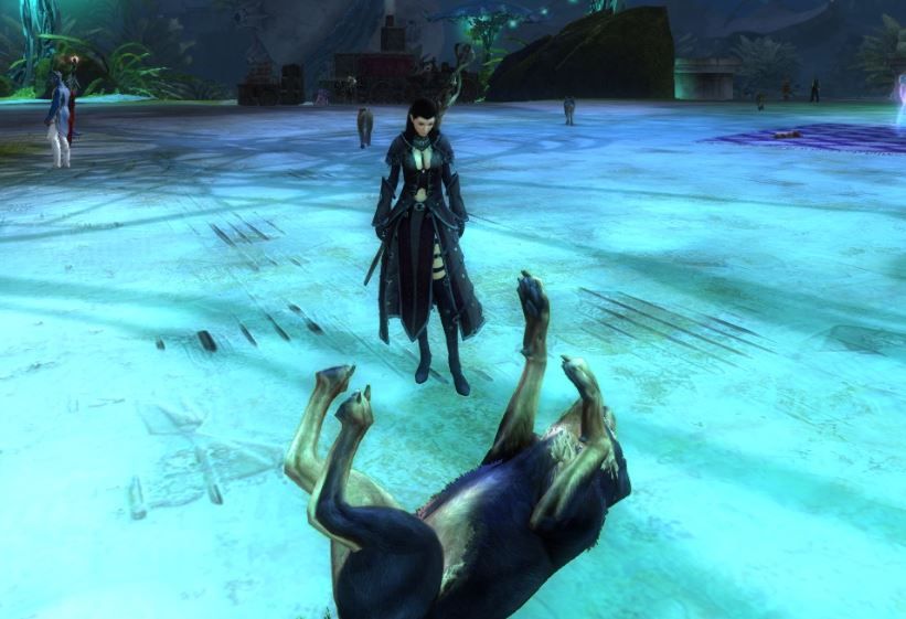 Guild Wars 2 - Remember to show the doggos some love