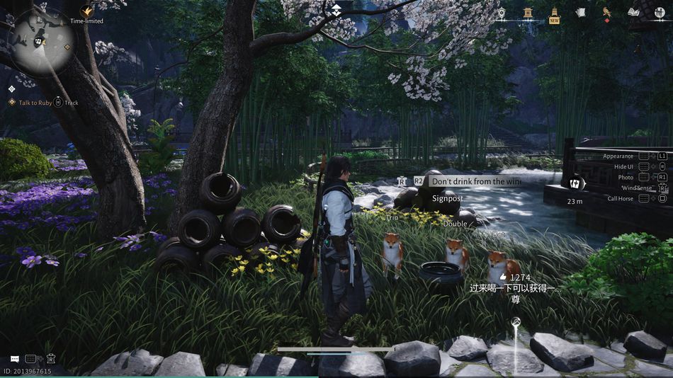 Where Winds Meet: In one side quest, you'll even become a dog