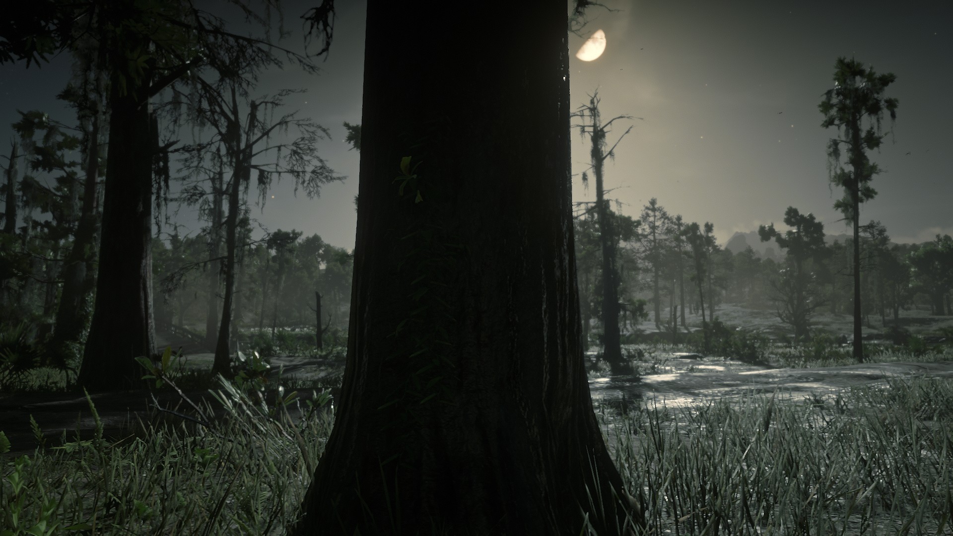 Where to find Vanilla flowers in Red Dead Online | AltChar