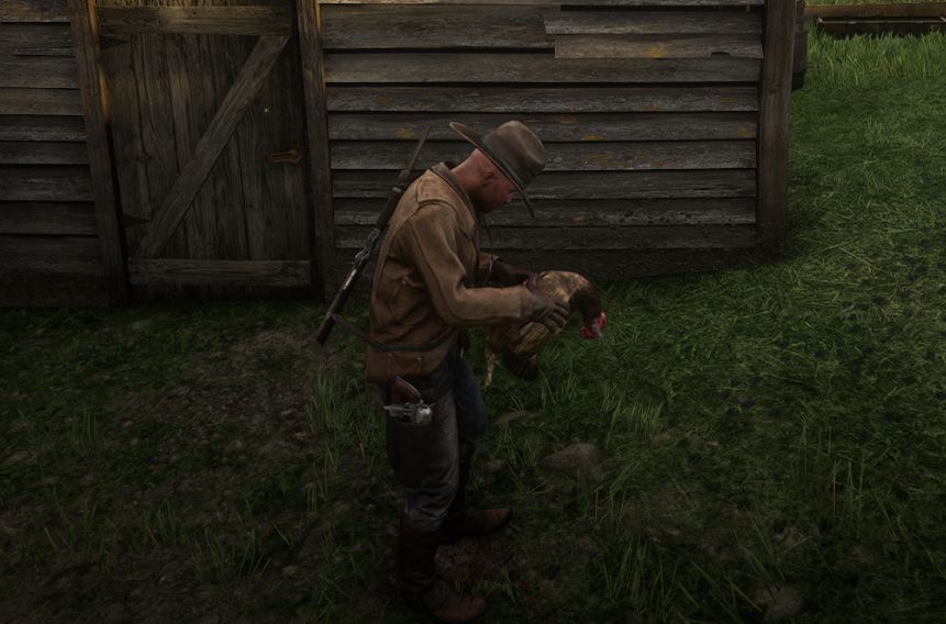 Red Dead Online: Seasoned Plump Bird recipes and locations | AltChar