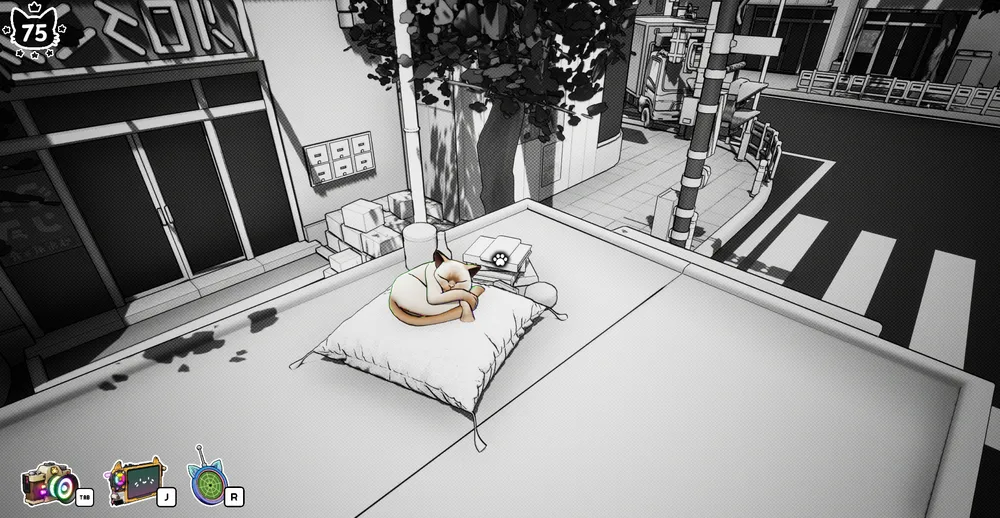 You'll be able to find cats doing all sorts of things.